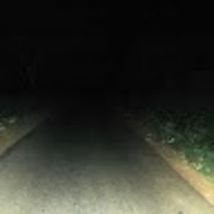 Meet your Posher, Jadyn